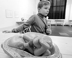 «Эмбриологические» аргументы в защиту абортов теряют свою силу (фото:Илья Питалев/РИА Новости)