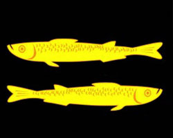 Гербом Переславля стали  две золотые сельди на черном поле  щита(фото:Vector-images.com/wikipedia.org)
