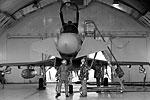Итальянские пилот и механник осматривают истребитель Eurofighter EF-2000 «Тайфун» на военной базе НАТО Джоя-дель-Колле на юге Италии Итальянские пилот и механник осматривают истребитель Eurofighter EF-2000 «Тайфун» на военной базе НАТО Джоя-дель-Колле на юге Италии