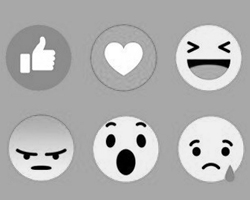 Шесть эмоций взяты совсем не с потолка (фото: скриншот facebook.com)