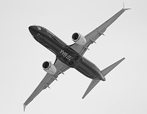 :      Boeing 737 Max    