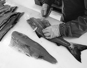 В России ограничили закупки импортных продуктов