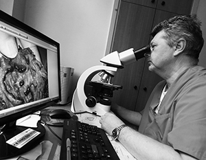  facebook ��������� ������� 