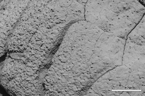 Когда-то в прошлом на Марсе были условия для образования форм жизни, заявили в NASA. К таким выводам ученых подтолкнул анализ данных марсианской породы, взятых марсоходом Curiosity. На этой фотографии запечатлена гора Wopmay в кратере Выносливости на Марсе