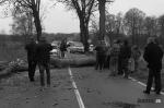 Крупный ураган прошел в Калининградской области. Повалены сотни деревьев, повреждены десятки автомобилей, срывались крыши и рекламные конструкции, а уровень воды в местных реках из-за шторма резко повысился