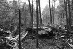 Окружающие деревья сломаны и обгорели, пожарные проливают горящие обломки&#160;(фото: Андрей Чаплыгин/РИА Новости)