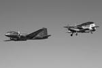 Групповой полет двух легендарных самолетов – Ан-2 и Ил-14, каждый из которых внес огромный вклад в историю отечественной авиации. Первый полет Ан-2 состоялся в 1947 году, Ил-14 – в 1950-м&#160;(фото: Сергей Александров/ВЗГЛЯД)