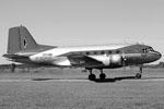 Неоценима роль Ил-14 в пассажирских авиаперевозках, в середине 1950-х годов этот самолет стал основным магистральным лайнером «Аэрофлота» на внутренних и международных линиях, позднее использовался на местных воздушных линиях&#160;(фото: Сергей Александров/ВЗГЛЯД)