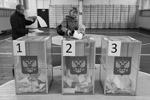 Типичный избирательный участок – школьный спортзал&#160;(фото: Сергей Фадеичев/ТАСС)