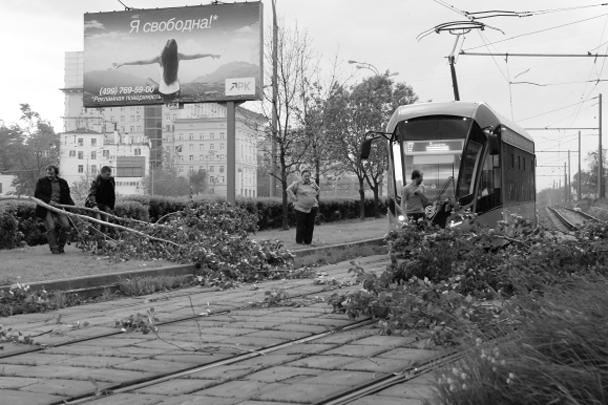 Упавшие деревья перегородили трамвайные пути
