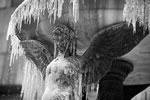 Украшенные льдом фонтаны – сейчас обычная картина для юга Франции&#160;(фото: Alain Pitton/Zuma/Global Look Press)