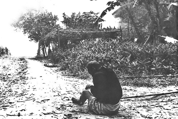 В Сонгми не было боев, это была карательная акция против безоружных крестьян Южного Вьетнама. В сторону американских солдат не было произведено ни одного выстрела