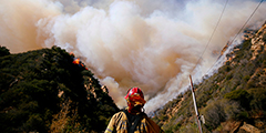 Самый разрушительный за всю историю штата Калифорния лесной пожар охватил почти 45 тыс. га. Пламя уничтожило несколько тысяч строений, эвакуированы более 300 тыс. человек, в округе Лос-Анджелес – 170 тысяч. Погибли более трех десятков человек, о судьбе 228 ничего не известно