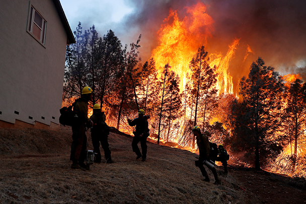 Актер Джерард Батлер и музыкант Нил Янг лишились домов в Калифорнии из-за лесных пожаров