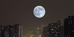 В ночь на понедельник жители Земли увидели так называемую кровавую Луну. Естественный спутник во время своего полного затмения приблизился к планете и в это время окрасился в красный цвет. Видимый диаметр диска при этом увеличился почти на 10%