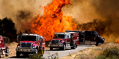 Более 8 тыс. га охвачено лесными пожарами в Калифорнии. Из-за быстрого распространения огня экстренно эвакуируют тысячи человек. Пожар, которому присвоили имя Эппл, начался в пятницу в полдень и продолжается уже третий день. В тушении участвует примерно 1,3 тыс. пожарных