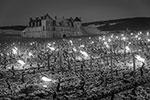 Из-за аномально холодной и снежной погоды под угрозой оказались знаменитые виноградники замка Кло-де-Вужо в Бургундии&#160;(фото: Paquot Baptiste/ABACA/Reuters)