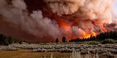 Бушующие в Калифорнии пожары в этом году значительно превысили показатели сожженных земель 2020 года. Из-за засушливой зимы и ранней жары ландшафт покрыт чрезвычайно сухой растительностью, что привело к быстрому распространению огня