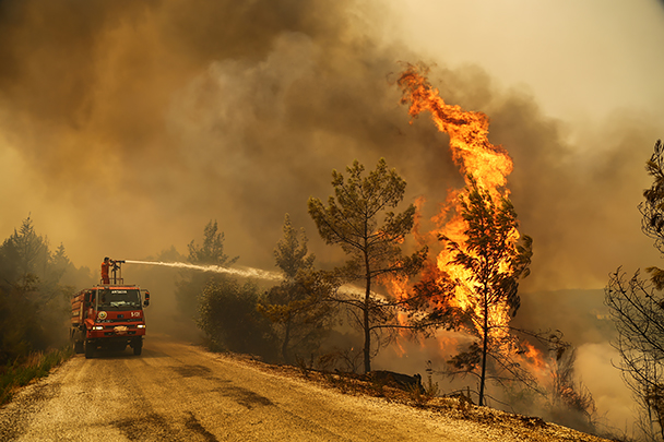 Всего за последние три дня произошел 41 лесной пожар в 13 турецких провинциях, 31 из них взят под контроль
