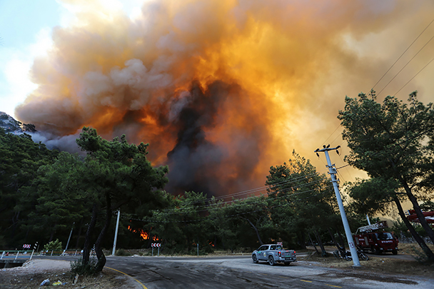 По данным полиции Турции, один из предполагаемых виновников был замечен местными жителями в момент поджога. Из-за аномально высокой температуры в регионе и сильного ветра пожары распространились очень быстро