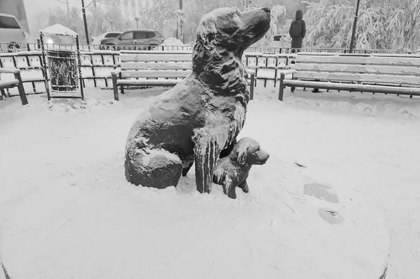 Якутск. Памятник бездомной собаке