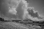 Пожар в горном массиве Сьерра-де-Кулебра в провинции Самора начался в 15 июня во время сухой грозы. В регионе наблюдались гром и молния, но осадки так и не выпали&#160;(фото: Eduardo Sanz/Global Look Press)