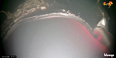 В Швеции обнародовали подводные снимки с места ЧП на «Северном потоке». На кадрах виден ровный край трубы и деформированные металлические участки разрушенного газопровода. По информации шведской прессы, трещины на трубе имеют общую протяженность более 50 метров. Специалисты провели съемку благодаря подводному беспилотнику, который погрузился дно Балтийского моря