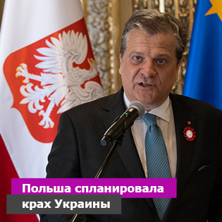 Польша спланировала крах Украины