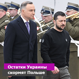 Остатки Украины скормят Польше