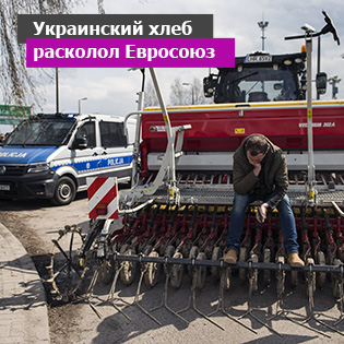 Украинский хлеб расколол Евросоюз