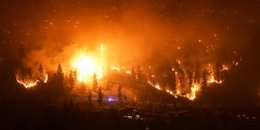 Лесные пожары, бушующие в Британской Колумбии в Канаде, заставили покинуть свои дома более 35 тыс. человек. Многие районы напоминают апокалиптические разрушения. В этом году в стране произошло рекордное количество лесных пожаров, которые также вызвали удушающий дым в некоторых частях США