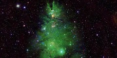 Астрономы NASA получили изображение звездного кластера NGC 2264, также известного как «Скопление рождественской ели». Как сообщает космическое агентство, это разновозрастные звезды в Млечном пути, находящиеся на удалении в 2,5 тыс. световых лет. При этом само фото смоделировано после объединения нескольких кадров с телескопов, работающих в разных спектрах. Зеленый цвет обусловлен остатками газопылевой туманности