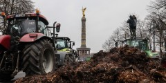 В Германии в понедельник прошли массовые протесты фермеров против планов правительства сократить субсидии на дизель. Власти страны вынуждены искать пути экономии бюджетных средств. Отмена субсидий на дизельное топливо, а также льготного налогообложения транспорта, применяемого в лесном и сельском хозяйстве, принесут казне около 900 млн евро