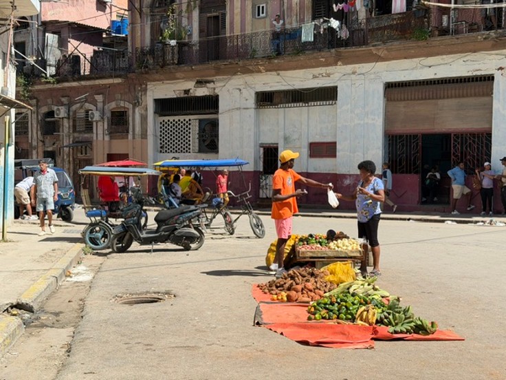 Фото: Наталья Потемкина/ВЗГЛЯД