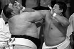 Соперник Алана Караева по финалу японский сумоист Хироаки Танака (справа) оказал россиянину отчаянное сопротивление&#160;(фото: Reuters)