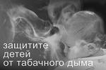 Защитить детей от табачного дыма призван готовящийся Минздравом закон, запрещающий курить в публичных местах&#160;(фото: Совет при интеграционном комитете ЕврАзЭС)