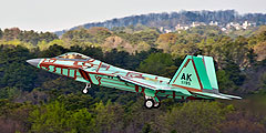 Испытания последнего серийного истребителя F-22 Raptor для ВВС США начались в компании-производителе Lockheed Martin. Всего были собраны в общей сложности 195 таких самолетов, включая восемь прототипов. Теперь программу производства этих первых в мире истребителей пятого поколения можно считать закрытой