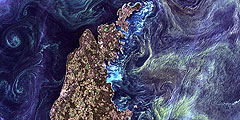 Американское космическое агентство (НАСА) подвело итоги конкурса «Земля как искусство» на самые красивые снимки нашей планеты со спутников Landsat. В голосовании участвовало 120 изображений, которые были получены в течение 40 лет. Первое место занял снимок общин зеленоватого фитопланктона в водах у шведского острова Готланд в Балтийском море (на фото). Демографические «взрывы» наблюдаются в тех случаях, когда глубоководные течения несут на поверхность множество питательных веществ для этих организмов