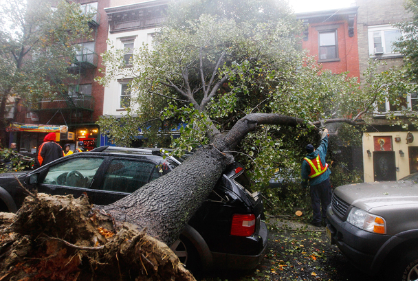Чаще всего причиной гибели людей во время урагана становятся падения деревьев, дорожных знаков, рекламных щитов