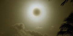 Жители северо-восточных районов Австралии и десятки тысяч специально приехавших туристов наблюдали 14 ноября полное солнечное затмение. На севере штата Квинсленд в городе Кэрнс затмение продолжалось ровно 2 минуты — лунный диск полностью закрывал Солнце