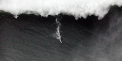 Бразильский серфингист Карлос Бурле в Атлантическом океане у побережья Португалии прокатился на волне высотой около 30 метров, возникшей во время обрушившегося на Европу шторма «Святой Иуда». Предположительно, спортсмен побил рекорд Гиннесса