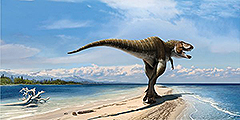 Ученые из Университета Юты открыли новый вид динозавра, который является предком тираннозавра – свирепого хищника, который жил 70 млн лет назад. По мнению палеонтологов, открытый ими динозавр Lythronax Argestes является двоюродным дедушкой тираннозавра и жил за 10-12 млн лет до своего знаменитого потомка