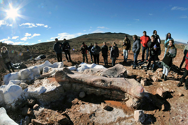 Место раскопок в Южной Аргентине