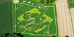 Особым образом отпраздновали победу своей команды на чемпионате мира по футболу фермеры немецкого города Уттинга. Они создали на поле специальный лабиринт длиной 3 км, который выглядит как фигура футболиста, если смотреть на него с высоты птичьего полета