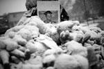 Снег падает на мемориал, установленный в память о погибшем Майкле Брауне в Фергюсоне, чья смерть привела к массовым беспорядкам в городе&#160;(фото: Reuters)