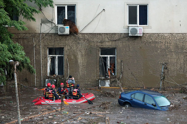 Сотрудникам спасательных служб МВД и мэрии Тбилиси, а также военнослужащим ряда подразделений ВС Грузии удалось спасти десятки человек