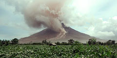 В Индонезии происходит сильное извержение вулкана Синабунг. В небе стоит трехкилометровый столб пепла. Лава стремительно распространяется.  Эвакуированы 2700 человек. Спасатели надеются, что вулкан успокоится в ближайшие дни