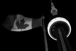 Телебашню в Торонто подсветили цветами флага Франции в знак солидарности&#160;(фото: Chris Helgren/Reuters)