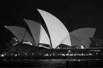 Здание Сиднейской оперы в цветах флага Франции&#160;(фото: Jason Reed/Reuters)