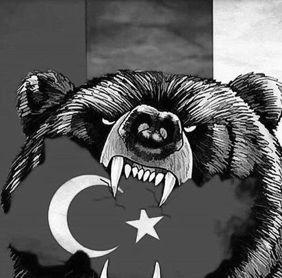 Некоторые коллажи обращены в сторону России - они призывают дать ответ на поведение Турции